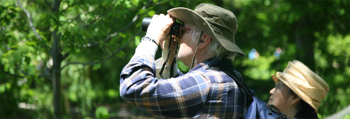 Birdwatching